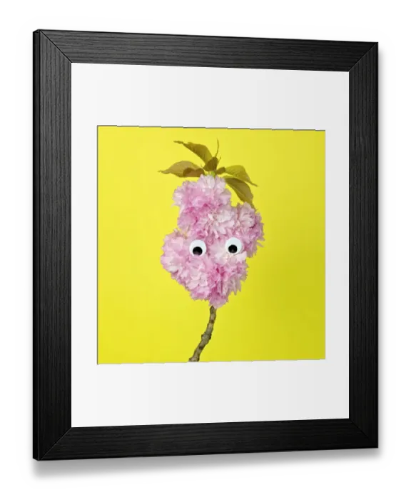 Framed Print : A branch of pink oriental cherry blossoms made to look like a face Framed Print : A branch of pink oriental cherry blossoms made to look like a face