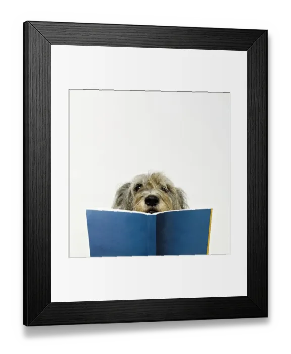 Framed Print : Dog Reading Book Framed Print : Dog Reading Book