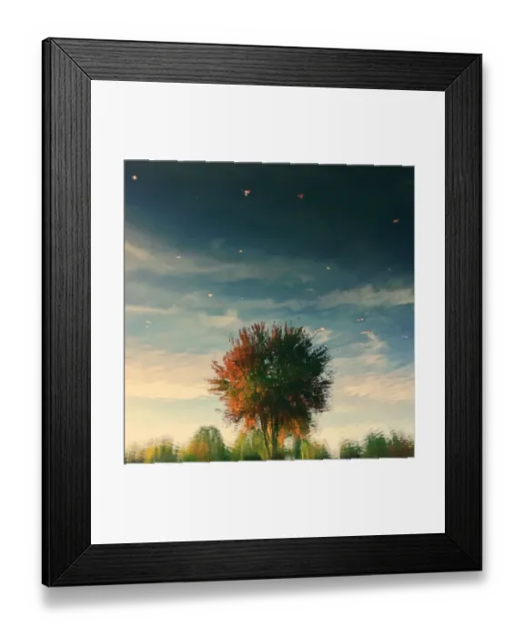 Framed Print : Skys the Limit Framed Print : Skys the Limit