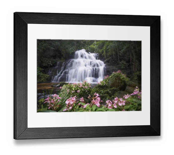 Framed Print : Beautiful waterfall with pink snapdragon flower in foreground, Mun dang waterfall at Phu Hin Rong Kla National Park, Petchaboon province, Thailand Framed Print : Beautiful waterfall with pink snapdragon flower in foreground, Mun dang waterfall at Phu Hin Rong Kla National Park, Petchaboon province, Thailand
