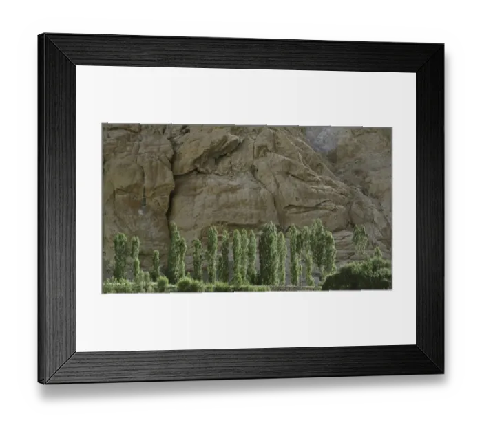 Framed Print : Tree area on the way to Tso Moriri lake. Leh Ladakh region, North India Framed Print : Tree area on the way to Tso Moriri lake. Leh Ladakh region, North India