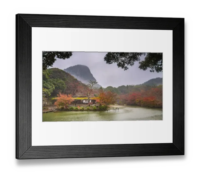 Framed Print : Mifuneyama, attraction, background, fall, fukuoka, garden, hot, kinrinko, leaves