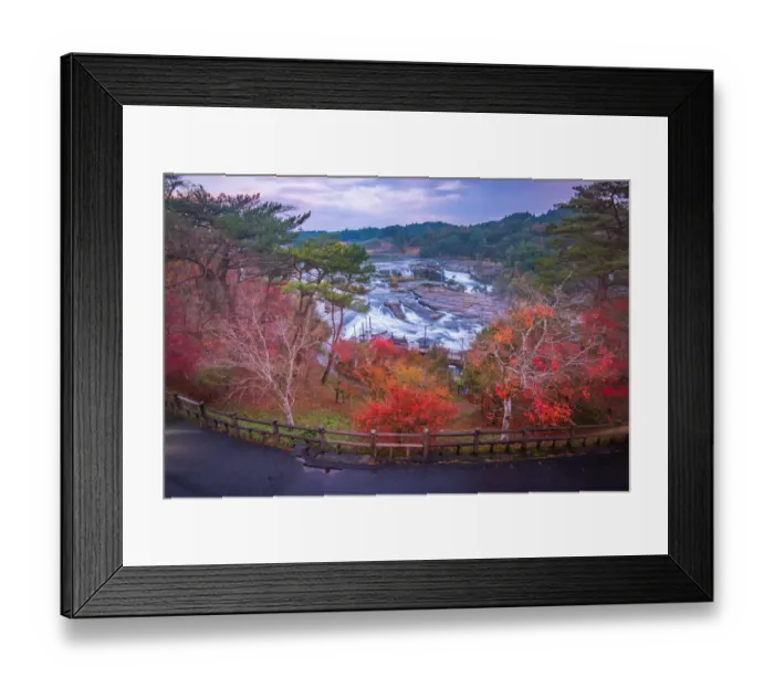 Framed Print : Maple Leaf, Photography, Plant, Waters Edge Framed Print : Maple Leaf, Photography, Plant, Waters Edge