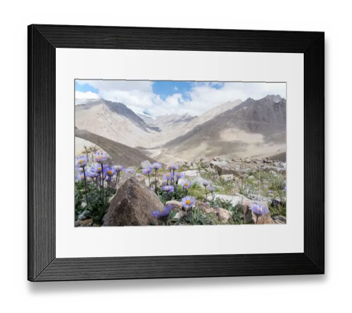 Framed Print : altitude, background, high, himalaya, himalayan, indian, jammu, kashmir, ladakh, leh Framed Print : altitude, background, high, himalaya, himalayan, indian, jammu, kashmir, ladakh, leh