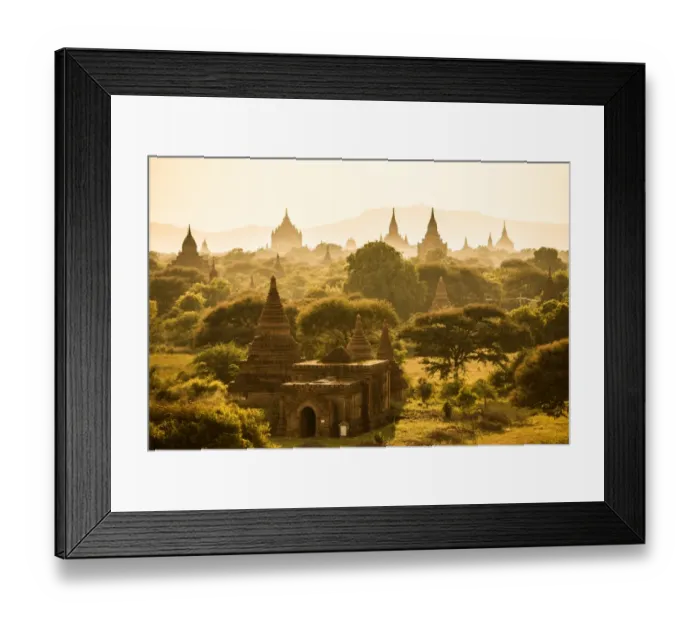 Framed Print : Photography, Consumerproduct, Mid-Air, Plant, Transportation Framed Print : Photography, Consumerproduct, Mid-Air, Plant, Transportation