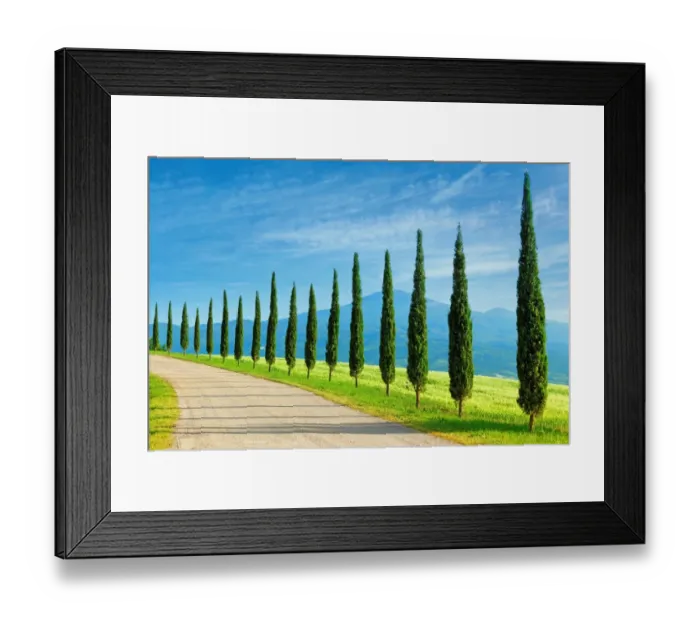 Framed Print : Landscape in Tuscany with cypress trees Framed Print : Landscape in Tuscany with cypress trees