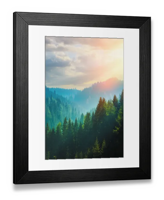 Framed Print : Pine forest in the Dolomites, Italy