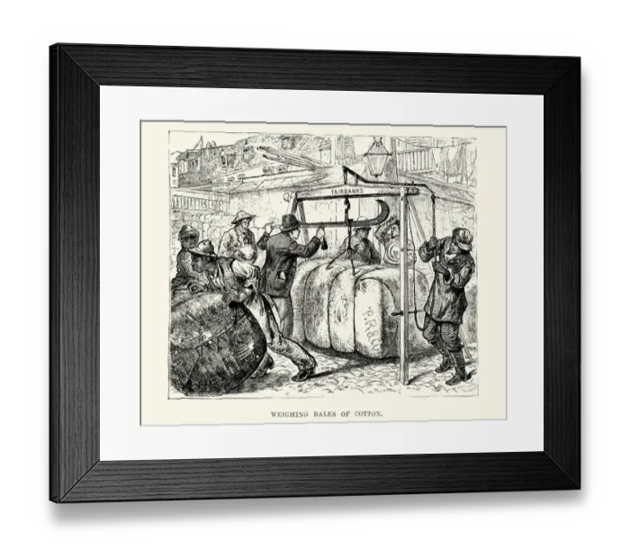 Framed Print : Weighing bales of cotton, New Orleans 19th Century Framed Print : Weighing bales of cotton, New Orleans 19th Century