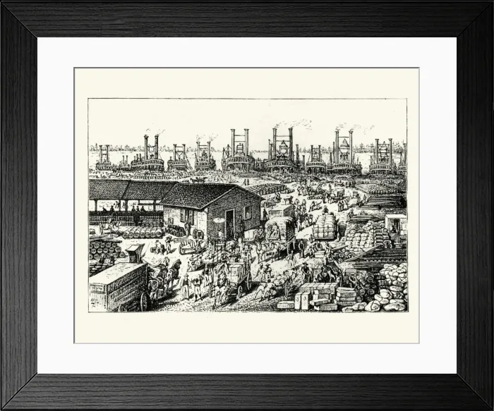 Framed Print : Mississippi steamboats alongside the Levee, New Orleans Framed Print : Mississippi steamboats alongside the Levee, New Orleans