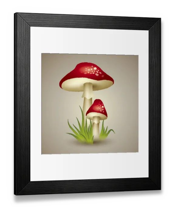 : Illustration of Mushroom : Illustration of Mushroom