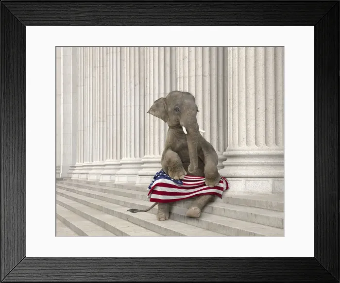 Framed Print : american flag, animals, architecture, color image, concept, copy space, day, digital composite Framed Print : american flag, animals, architecture, color image, concept, copy space, day, digital composite