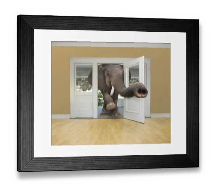 Framed Print : animals, avoidance, avoiding, color image, computer graphic, concept, copy space Framed Print : animals, avoidance, avoiding, color image, computer graphic, concept, copy space