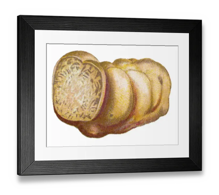 Framed Print : mushroom truffle, black truffle, PA rigord truffle, French black truffle
