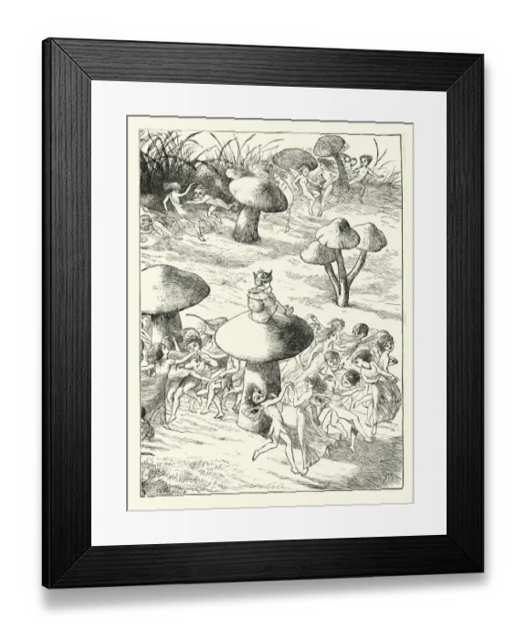 Framed Print : Fairy King sat on a toadstool Framed Print : Fairy King sat on a toadstool