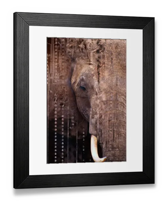 Framed Print : Elephant. CC001049 Framed Print : Elephant. CC001049