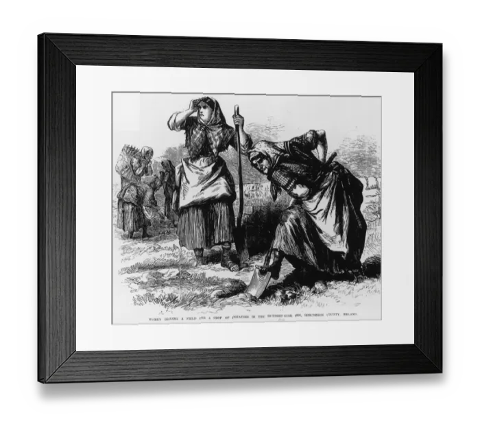 Framed Print : Women Digging A Field
