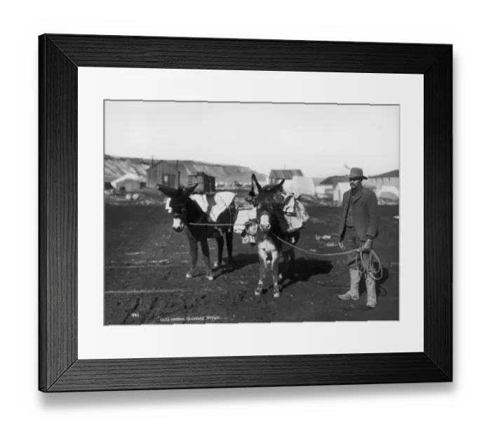 Framed Print : Gold Seekers Framed Print : Gold Seekers
