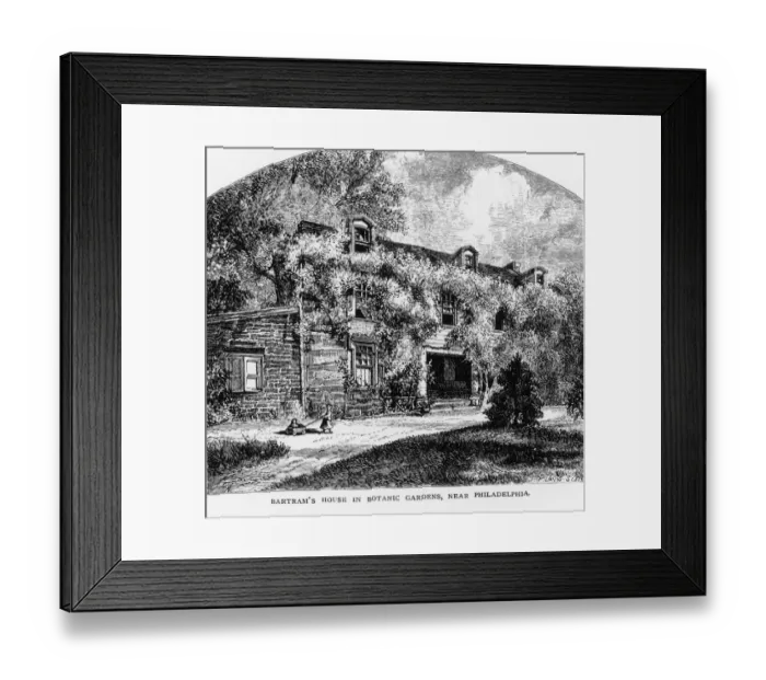 Framed Print : John Bartram Framed Print : John Bartram