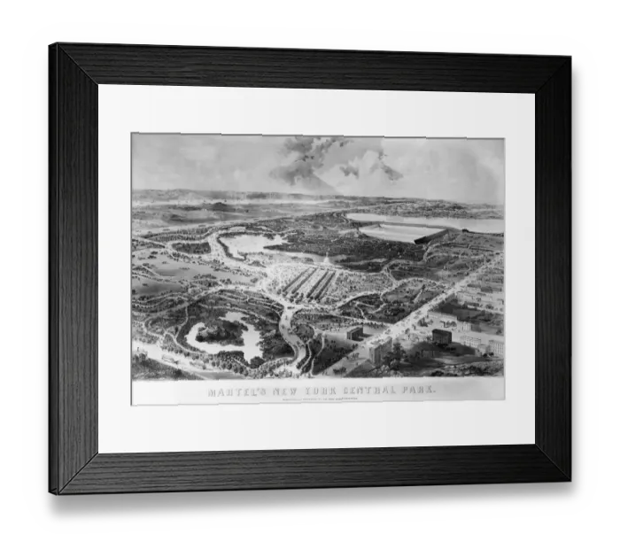 Framed Print : Central Park Framed Print : Central Park