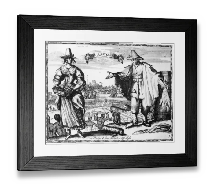 Framed Print : Nieu Amsterdam Framed Print : Nieu Amsterdam