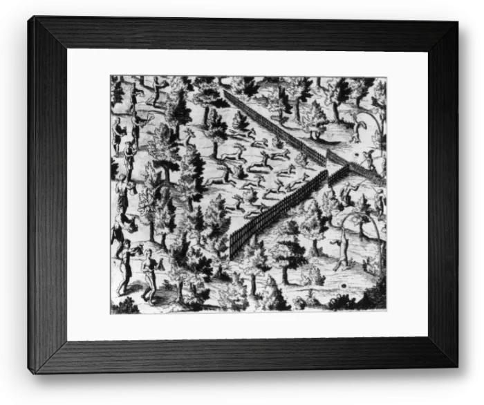 Framed Print : Hunting Deer Framed Print : Hunting Deer