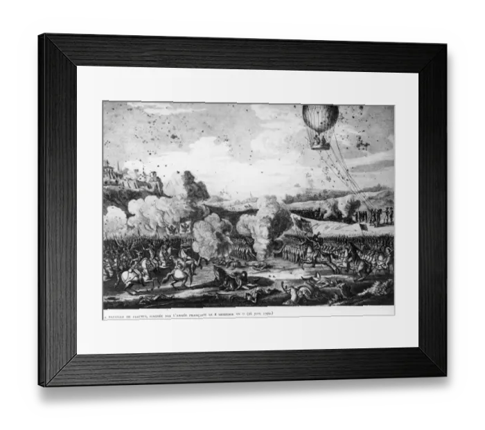 Framed Print : Battle of the Flowers Framed Print : Battle of the Flowers