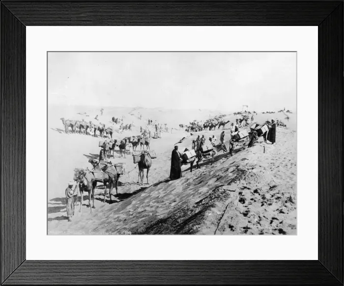 Framed Print : Suez Canal Framed Print : Suez Canal