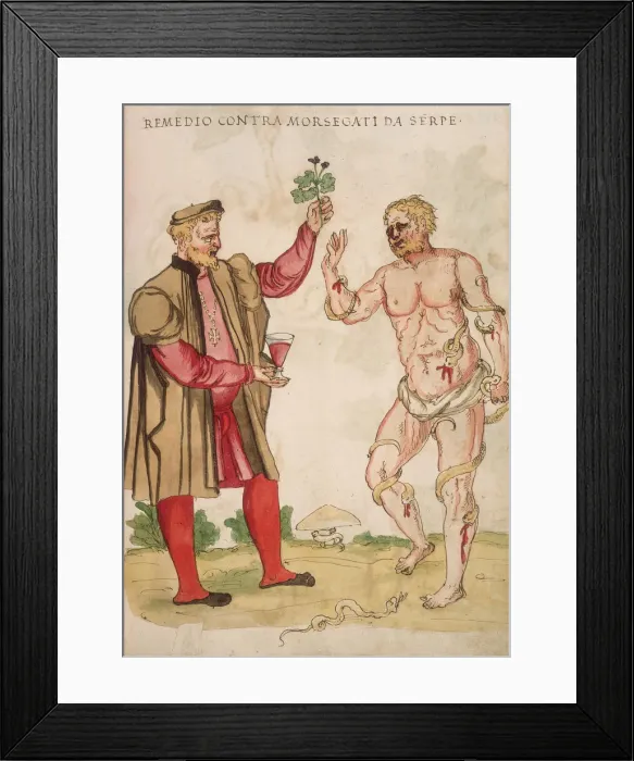 Framed Print : Remedy for Snake Bites
