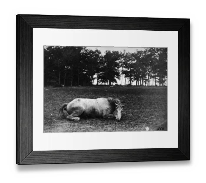 Framed Print : American Civil War Framed Print : American Civil War