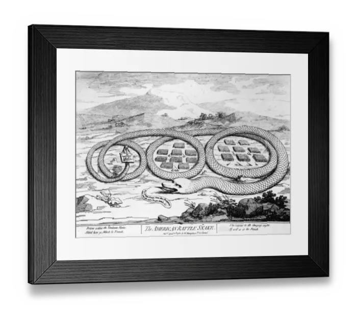 Framed Print : The American Rattle Snake Framed Print : The American Rattle Snake