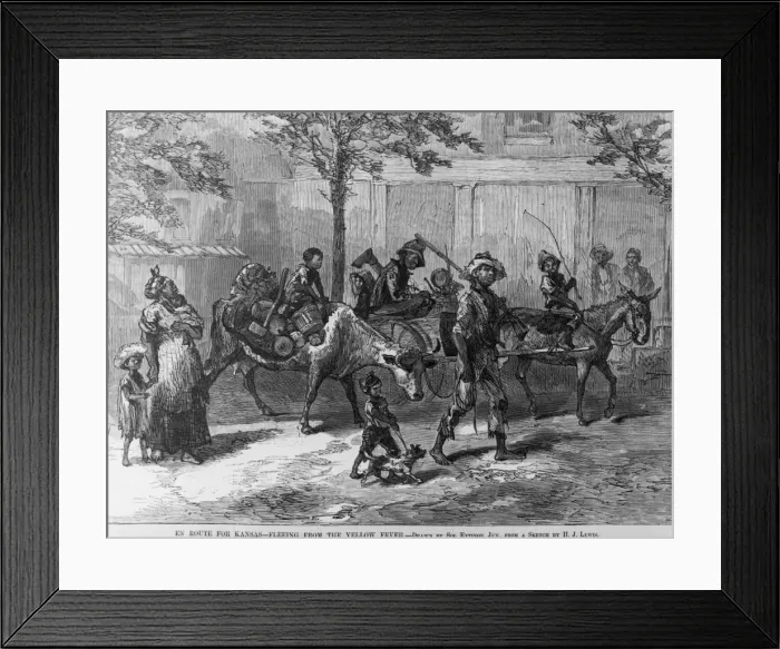 Framed Print : Fleeing Yellow Fever Framed Print : Fleeing Yellow Fever