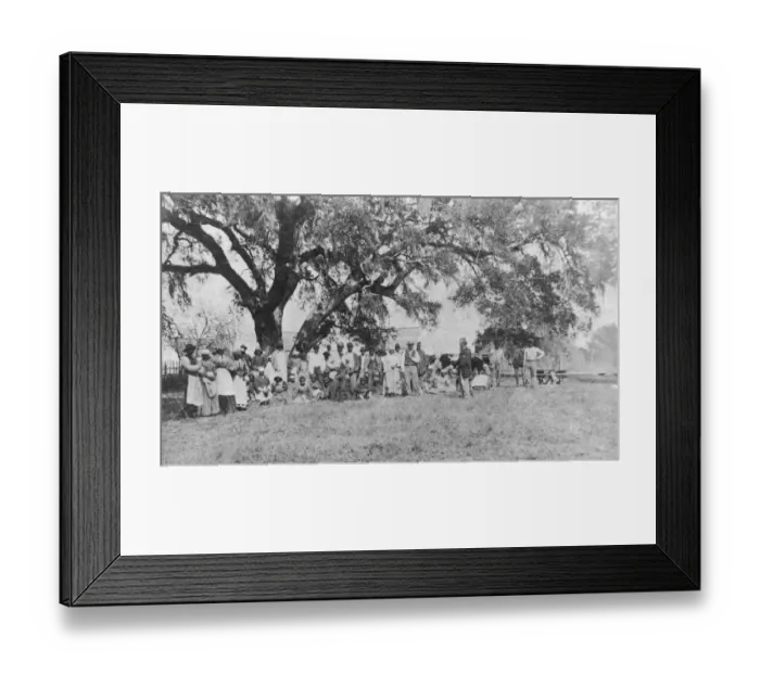 Framed Print : Plantation Workers Framed Print : Plantation Workers