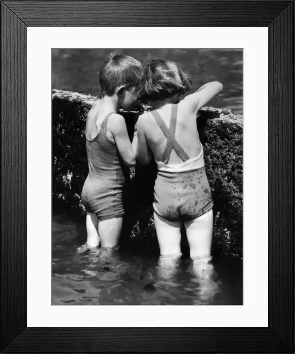 Framed Print : Seaside Friends Framed Print : Seaside Friends