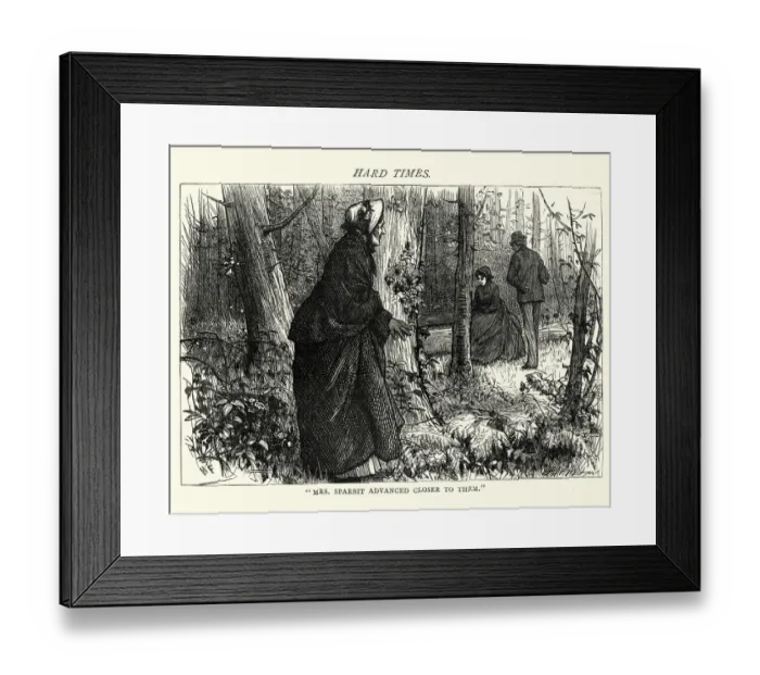 Framed Print : Dickenss Hard Times - Mrs Sparsit Advanced Closer Framed Print : Dickenss Hard Times - Mrs Sparsit Advanced Closer