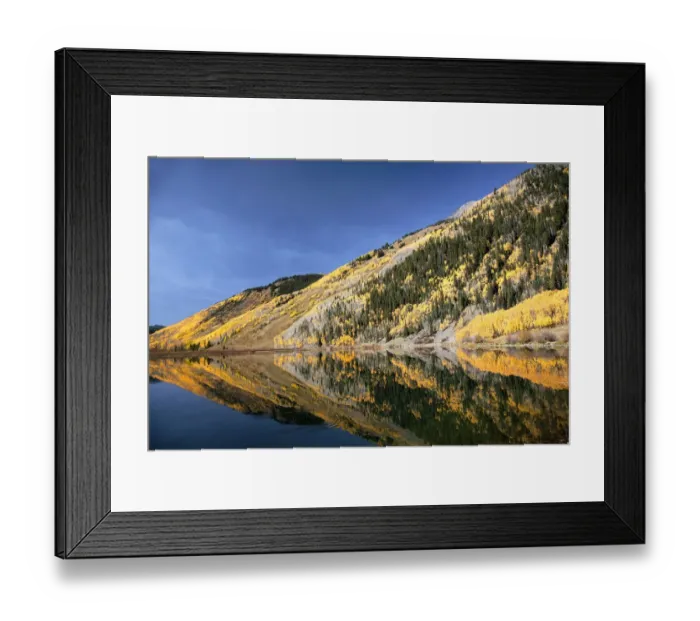 Framed Print : autumn, autumn leaves, beauty in nature, blue sky, calm, change, color image, colorado Framed Print : autumn, autumn leaves, beauty in nature, blue sky, calm, change, color image, colorado