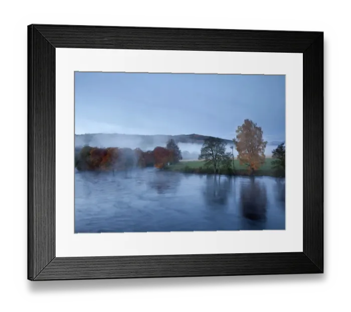 Framed Print : autumn leaves, blue sky, calm, change, color image, copy space, day, environment