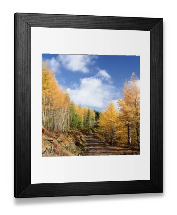 Framed Print : David Henderson Photography Framed Print : David Henderson Photography