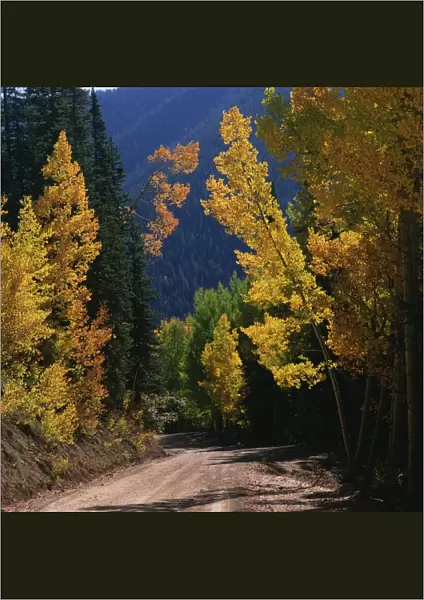 Autumn, Colorado, Day, Nature, Nobody, Path, Peacefulness, Quiet, Season, Seasonal