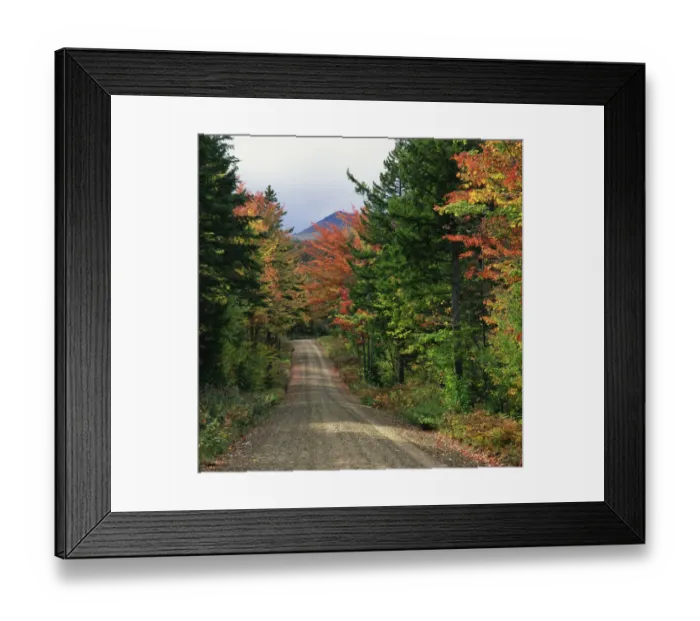 Framed Print : Autumn, By Road, Day, Nature, Nobody, Peacefulness, Quiet, Season, Seasonal, Transportation Framed Print : Autumn, By Road, Day, Nature, Nobody, Peacefulness, Quiet, Season, Seasonal, Transportation