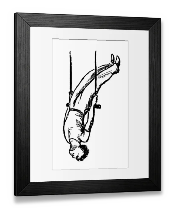 Framed Print : Antique illustration of sports and exercises: Artistic Gymnastic Trapeze Framed Print : Antique illustration of sports and exercises: Artistic Gymnastic Trapeze
