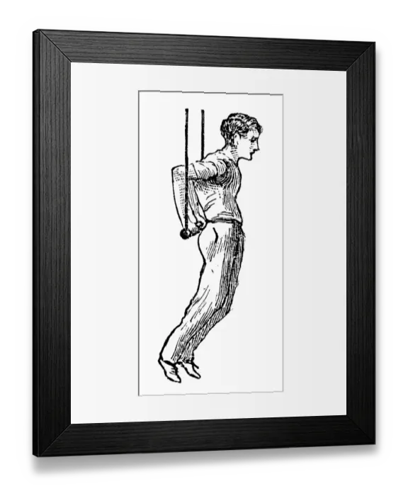 Framed Print : Antique illustration of sports and exercises: Artistic Gymnastic Trapeze Framed Print : Antique illustration of sports and exercises: Artistic Gymnastic Trapeze