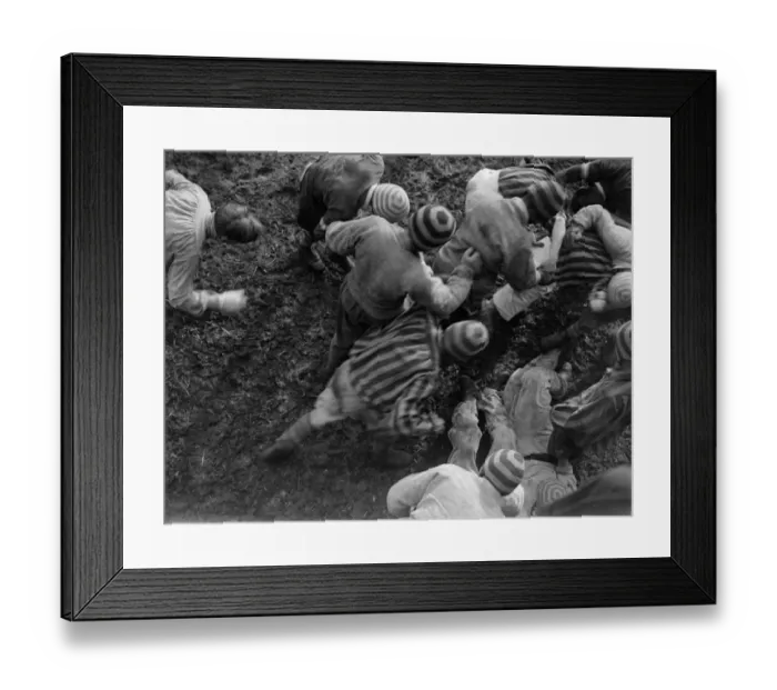 Framed Print : Under The Wall Framed Print : Under The Wall