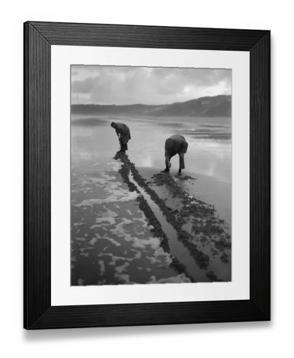 Framed Print : Beachcombers Framed Print : Beachcombers
