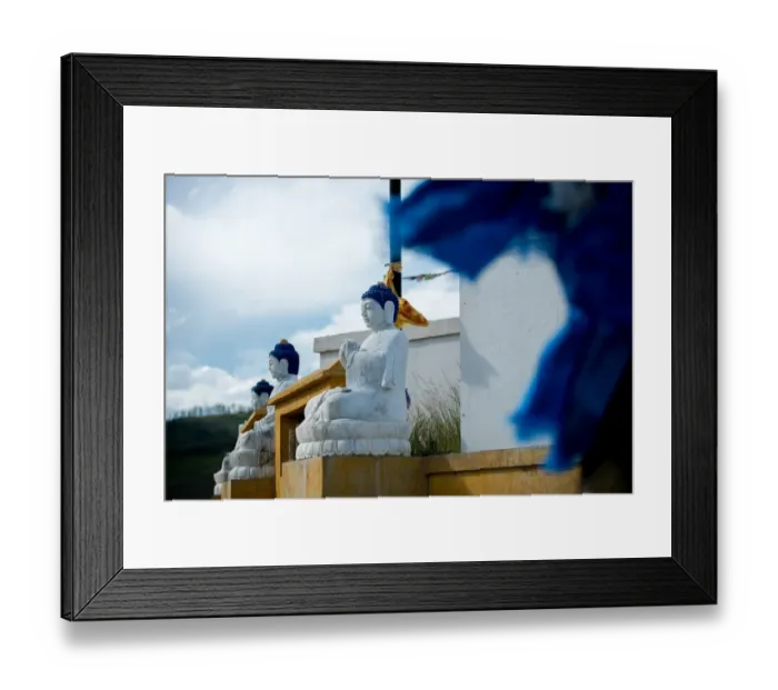 Framed Print : Stupa. Amarbayasgalant Monastery, Mongolia