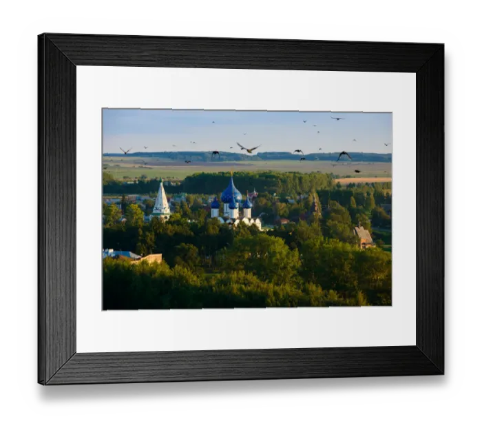 Framed Print : A Murder of Crows Flys over the Kremlin Framed Print : A Murder of Crows Flys over the Kremlin
