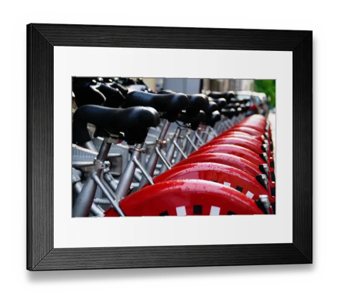 Framed Print : All In a Row Framed Print : All In a Row