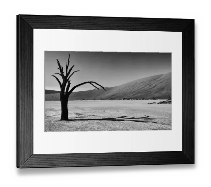 Framed Print : Africa, Black, Dead Vlei, Dune, Grey, Namibia, Orange, Sand, Scale, Silver, Sossusvlei Framed Print : Africa, Black, Dead Vlei, Dune, Grey, Namibia, Orange, Sand, Scale, Silver, Sossusvlei