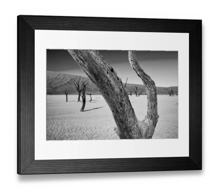 Framed Print : Petrified Trees, The Dead Vlei Framed Print : Petrified Trees, The Dead Vlei