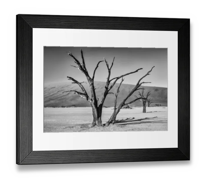Framed Print : Africa, Black, Colour, Dead Vlei, Dune, Grey, Namibia, Orange, Sand, Scale, Silver Framed Print : Africa, Black, Colour, Dead Vlei, Dune, Grey, Namibia, Orange, Sand, Scale, Silver