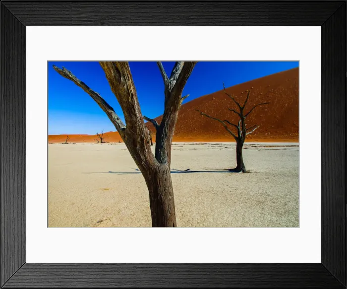 Framed Print : Petrified Trees, The Dead Vlei Framed Print : Petrified Trees, The Dead Vlei